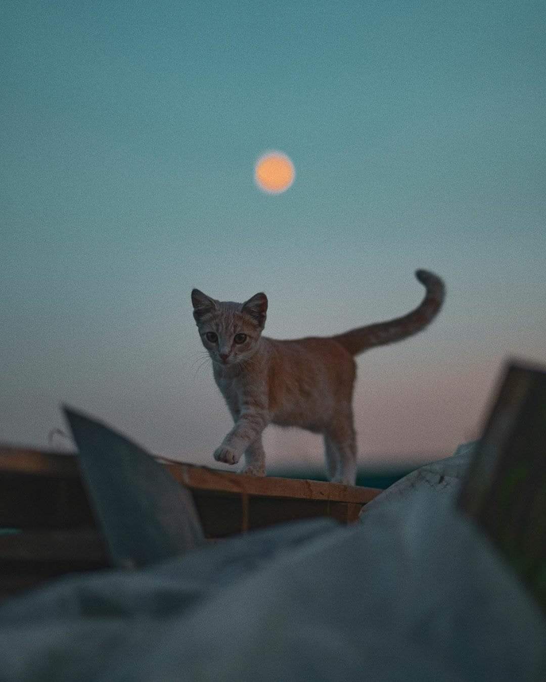 કોઈ જોડે કોઈ તોડે